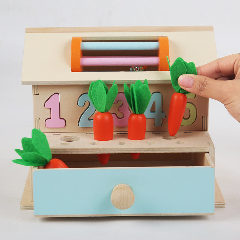 Caja de Actividades Multifuncional