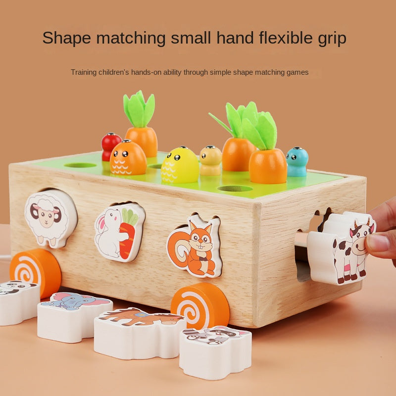 Juguete de madera de rábano educativo Unisex
